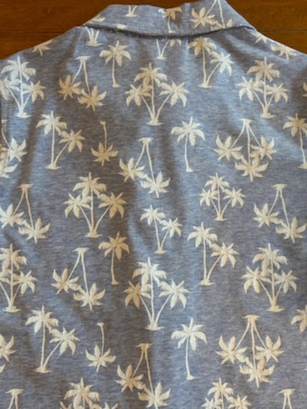 Andy & Evan Boys Light Blue Short Sleeve Button Down Polo w/ Palm Springs Sz 8